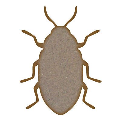 Beetle MDF Laser Cut Craft Blanks in Various Sizes